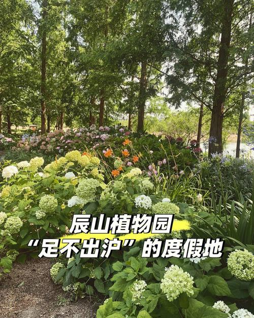 辰山植物园的团体票预订流程是怎样的