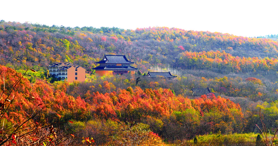 铁山寺国家森林公园四季景色