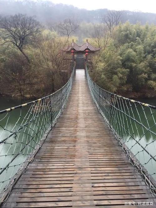 铁山寺的动植物资源有哪些