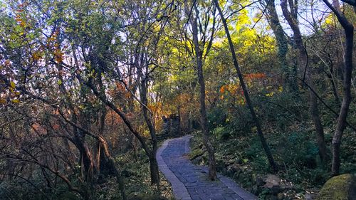 铁山寺峡谷的风景特点是什么