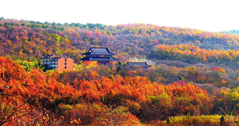 铁山寺态文化活动