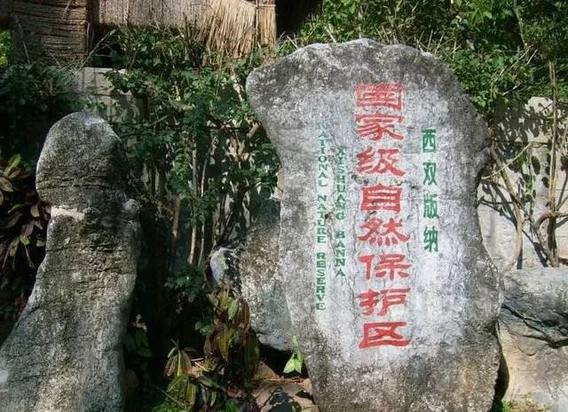 铁山寺自然保护区生物多样性的保护