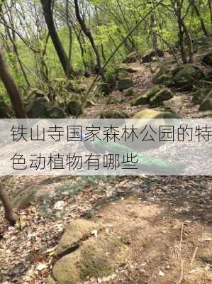 铁山寺国家森林公园的特色动植物有哪些