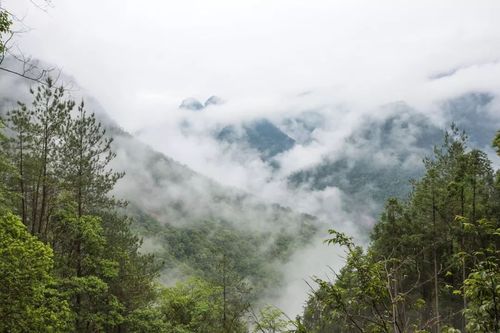 铁山寺自然保护区的小气候是如何形成的