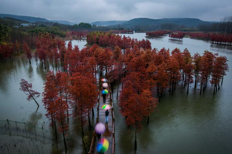 铁山寺自然保护区的气候特点