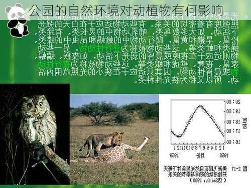 公园的自然环境对动植物有何影响