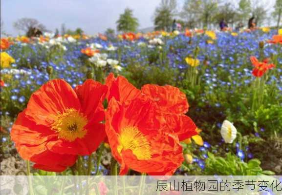 辰山植物园的季节变化