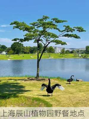 上海辰山植物园野餐地点