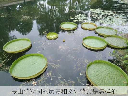 辰山植物园的历史和文化背景是怎样的