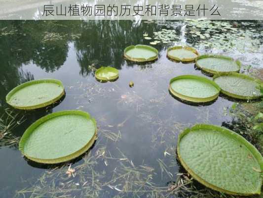 辰山植物园的历史和背景是什么