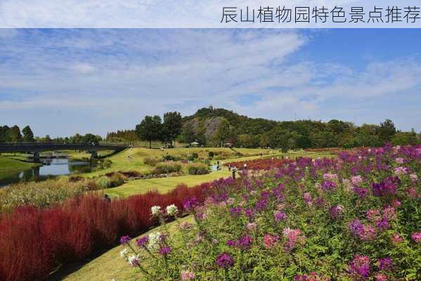 辰山植物园特色景点推荐