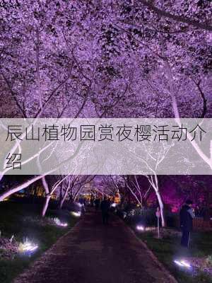 辰山植物园赏夜樱活动介绍