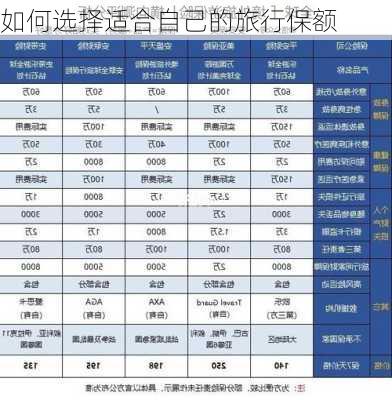 如何选择适合自己的旅行保额