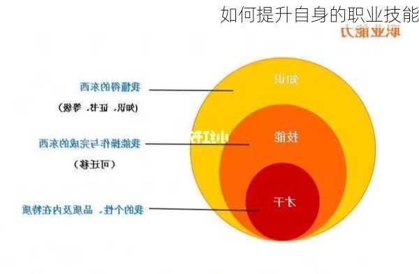 如何提升自身的职业技能