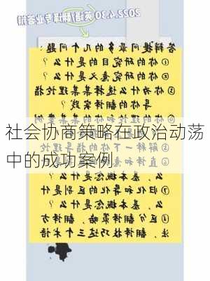 社会协商策略在政治动荡中的成功案例