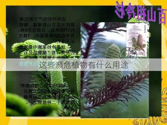 这些濒危植物有什么用途