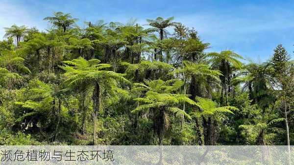 濒危植物与生态环境