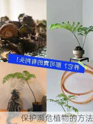 保护濒危植物的方法