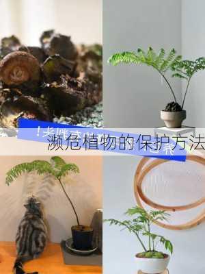 濒危植物的保护方法