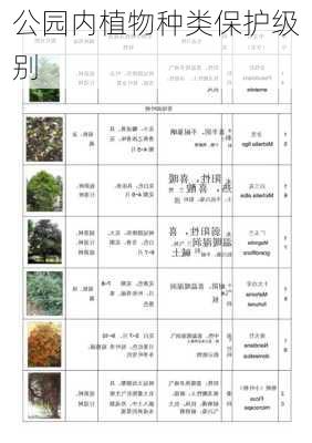 公园内植物种类保护级别