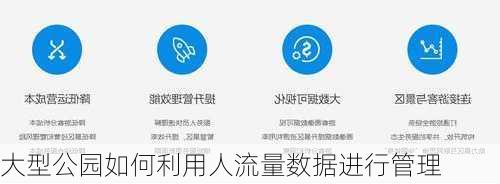 大型公园如何利用人流量数据进行管理