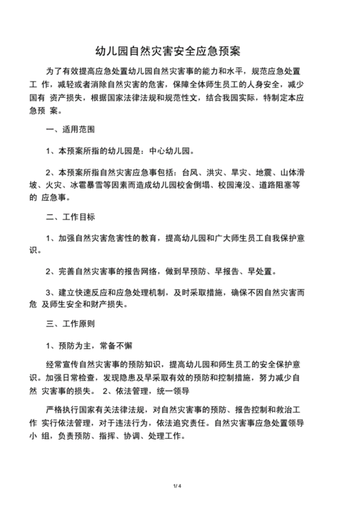 舞钢市应对自然灾害的应急预案概述