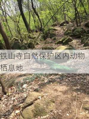 铁山寺自然保护区内动物栖息地