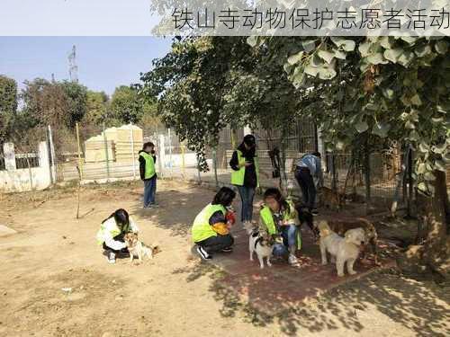 铁山寺动物保护志愿者活动