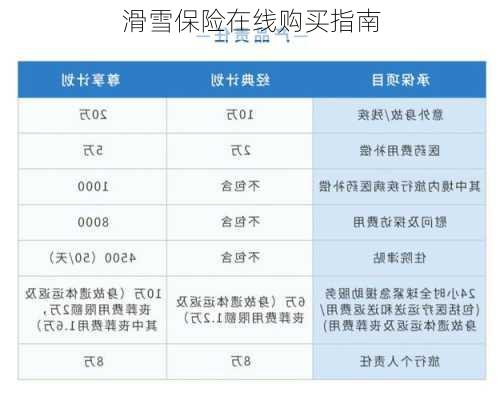 滑雪保险在线购买指南