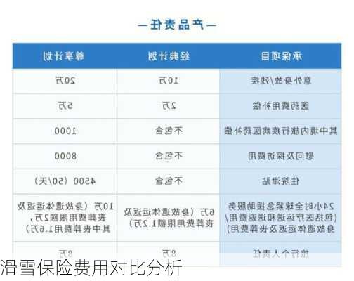 滑雪保险费用对比分析