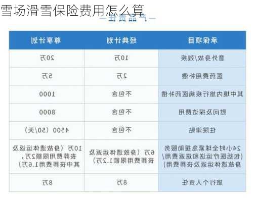 雪场滑雪保险费用怎么算