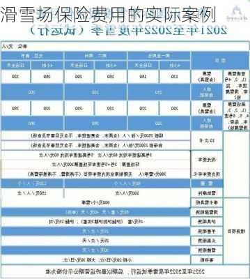 滑雪场保险费用的实际案例