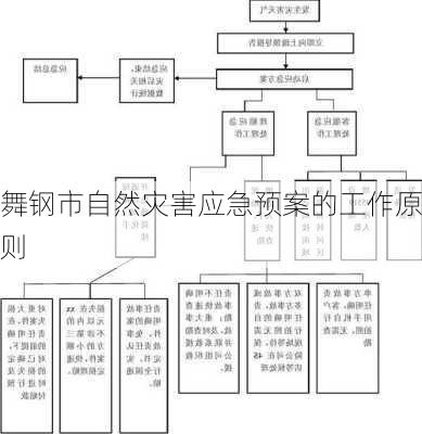 舞钢市自然灾害应急预案的工作原则