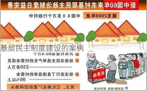 基层民主制度建设的案例