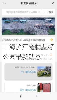 上海滨江宠物友好公园最新动态