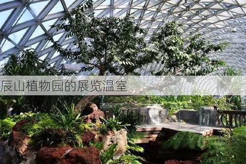 辰山植物园的展览温室