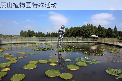 辰山植物园特殊活动