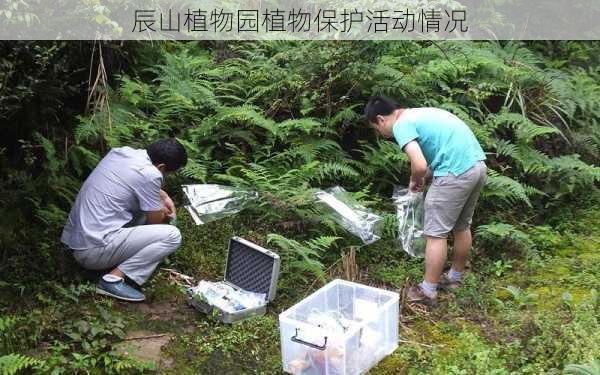 辰山植物园植物保护活动情况