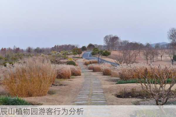 辰山植物园游客行为分析