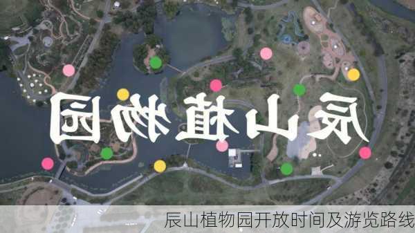 辰山植物园开放时间及游览路线