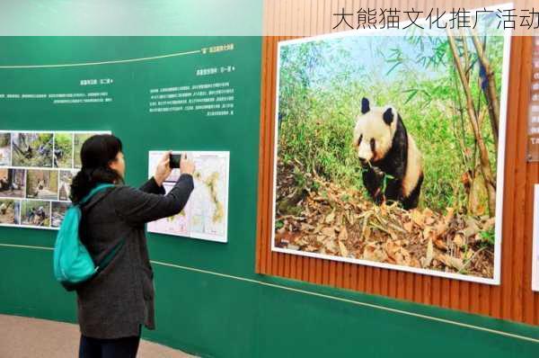 大熊猫文化推广活动