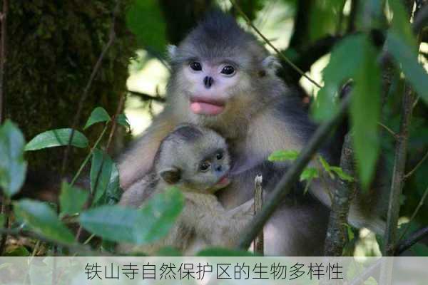 铁山寺自然保护区的生物多样性