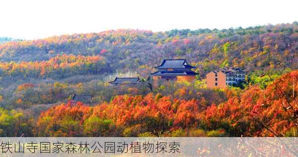 铁山寺国家森林公园动植物探索