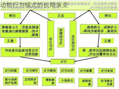 动物行为模式的长期演变