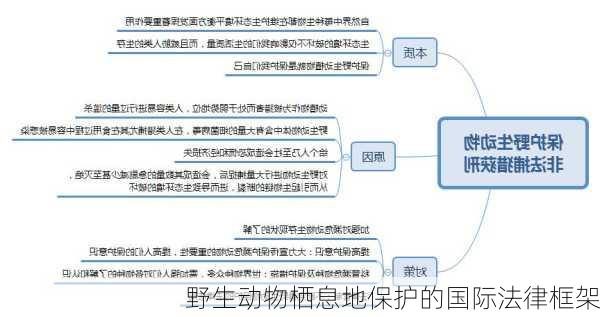 野生动物栖息地保护的国际法律框架