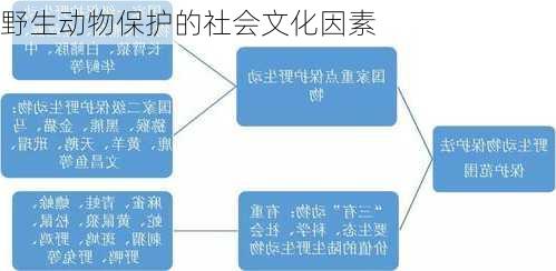 野生动物保护的社会文化因素