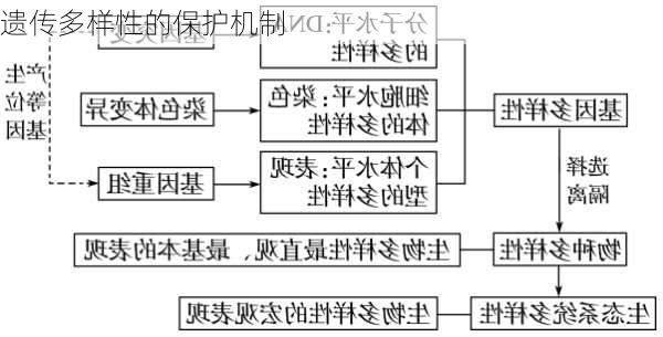 遗传多样性的保护机制