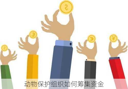 动物保护组织如何筹集资金