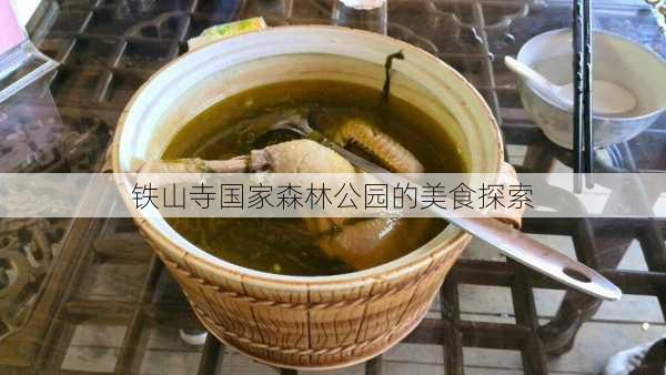 铁山寺国家森林公园的美食探索