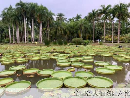 全国各大植物园对比